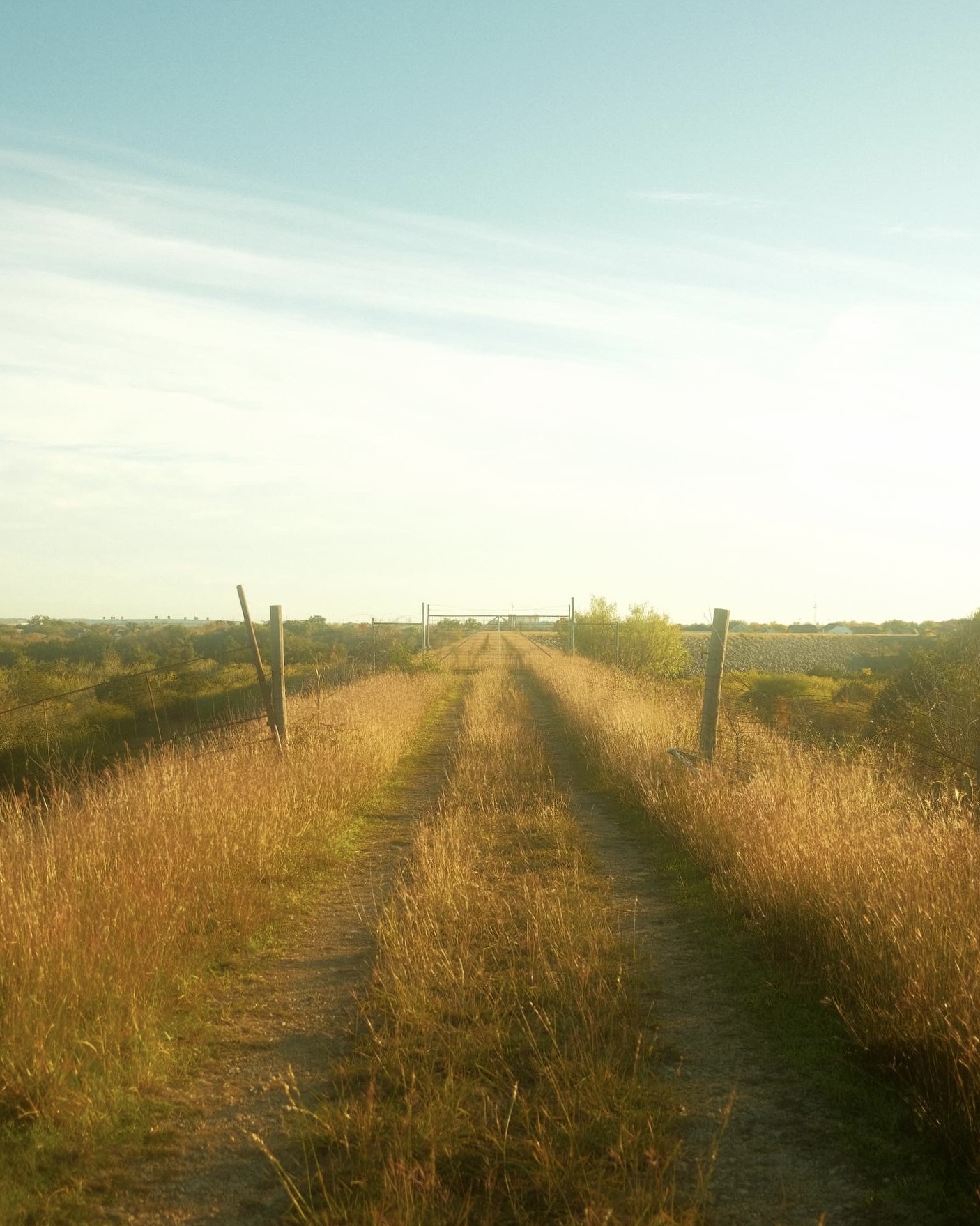 What Lies Ahead