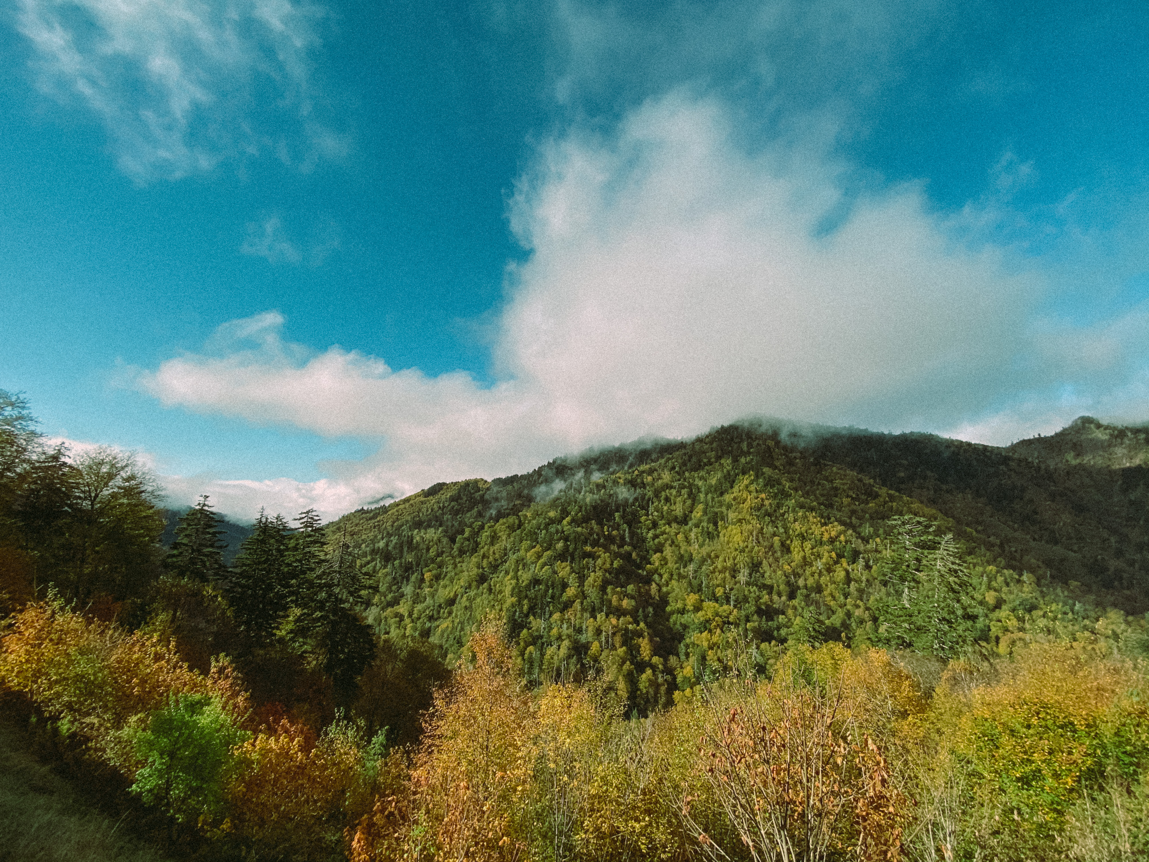 Smokey Mountains